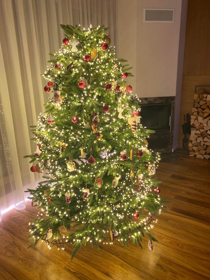 V7N - Vilov vianocny stromcek